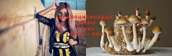 твердый Абинск
