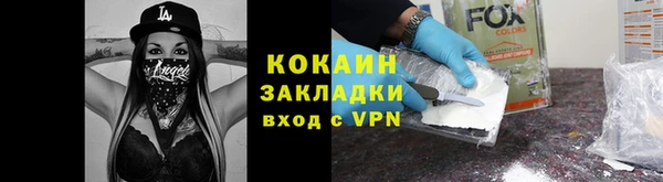 гидра Магас